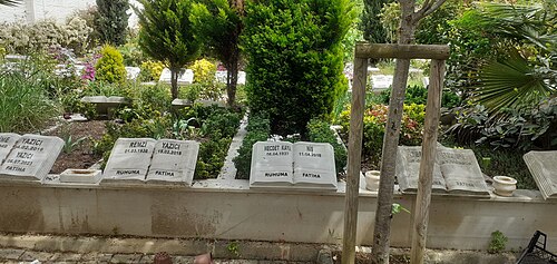 Necdet Niş